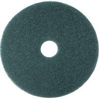 Tampon haute performance, 11", Nettoyage/&agrave; r&eacute;curer, Bleu Equipment World