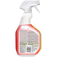 Disinfecting Bio Stain & Odour Remover, 946 ml, Trigger Bottle Equipment World
