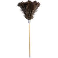Superior Feather Duster, Ostrich Feather Equipment World