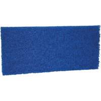 Medium Scrub Pad, 10" L x 4-1/2" W Equipment World