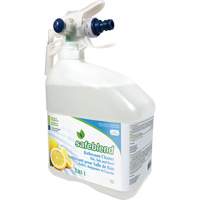 Concentrated Glass & Multi-Surface Cleaner, 4 L, Jug JP115 | Equipment World