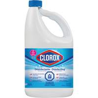 Disinfecting Bleach, 1.27 L, Jug Equipment World