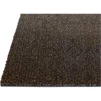 Tapis dint&eacute;rieur Palliser, Essuie-pieds/grattoir, 3-1/2' x 6' x 5/16", Anglis Equipment World