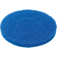 Floor Pad, Cleaning, Blue Equipment World