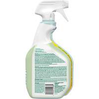 CloroxPro Clorox EcoClean Disinfecting Cleaner, 946 ml, Trigger Bottle Equipment World