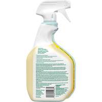 CloroxPro Clorox EcoClean All-Purpose Cleaner, 946 ml, Trigger Bottle Equipment World