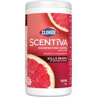 Disinfecting Wipes, 75 Count Equipment World