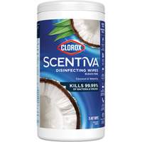 Disinfecting Wipes, 75 Count Equipment World