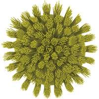 HyDrive Round Drill Brush, Extra Stiff Bristles, 3-1/10" Long, Yellow Equipment World