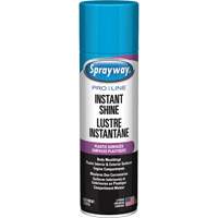 Pro Line Instant Shine for Plastic Surfaces, 11 oz., Aerosol Can Equipment World