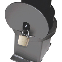 Bornes d&eacute;coratives amovibles, Acier, 40" h x 4-1/2" la, Noir Equipment World