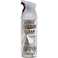 Universal Durable Top Coat, 312 g, Aerosol Can, Frosted Pearl Equipment World
