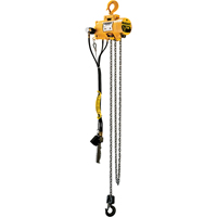 Budgit&reg; Air Chain Hoists Equipment World
