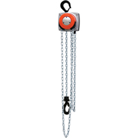 Hurricane 360° Chain Hoist, 10' Lift, 1000 lbs. (0.5 tons) Capacity, Steel Chain Equipment World