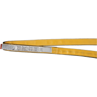 Polyester Slings, Single Ply, Endless, Type 5, 1" W x 3' L, 3200 lbs. Vertical Cap. Equipment World