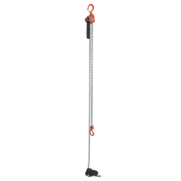 Mini Lever Hoist, 15' Lift, 500 lbs. (0.25 tons) Capacity, Steel Chain Equipment World