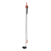 Mini Lever Hoist, 15' Lift, 1000 lbs. (0.5 tons) Capacity, Steel Chain Equipment World