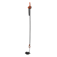 Mini Lever Hoist, 15' Lift, 1000 lbs. (0.5 tons) Capacity, Steel Chain Equipment World
