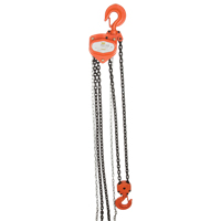 Manual Chain Hoists