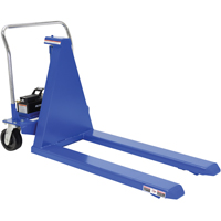 Electric Skid Lift, Steel, 2500 lbs. Capacity Equipment World