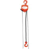 Chain Hoist, 10' Lift, 6000 lbs. (3 tons) Capacity, Alloy Steel Chain LW571 | Equipment World