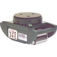 Machine Roller, 10 Tons Capacity Equipment World