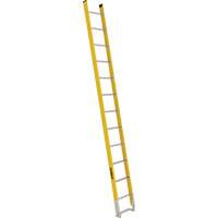 Single Section Straight Ladder - 6100 Series, 12', Fibreglass, 375 lbs., CSA Grade 1AA Equipment World