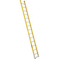 Single Section Straight Ladder - 6100 Series, 14', Fibreglass, 375 lbs., CSA Grade 1AA Equipment World