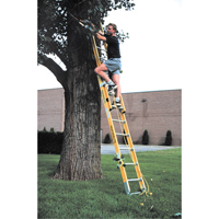 Industrial Heavy-Duty Extension Ladders (6200 Series), 375 lbs. Cap., 13' H, Grade 1AA Equipment World