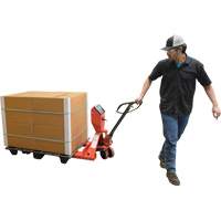 Transpalette, 48" lo x 27,5" la, Capacit&eacute; de 5000 lb Equipment World