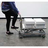 Hydraulic Scissor Lift Table, 31-1/2" L x 19-1/2" W, Stainless Steel, 550 lbs. Capacity Equipment World