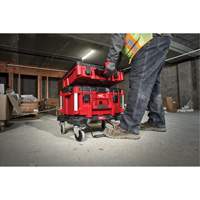 Packout™ Dolly MP195 | Equipment World