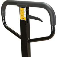 Transpalette manuel, Acier, 48" lo x 27" la, Capacit&eacute; 5500 lb Equipment World