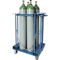 4-Cylinder Forklift Cylinder Storage Caddy Equipment World