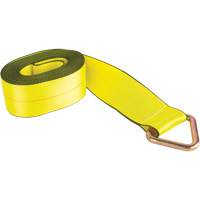 Logistic Strap, Delta Ring, 30' W x 4" L, 5400 lbs. (2449 kg) Working Load Limit Equipment World