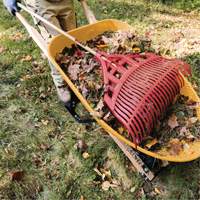 Leaf Rake, 24" Blade, Wood Handle, Plastic Blade Equipment World