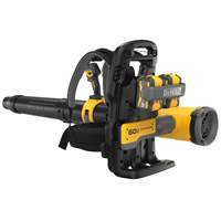 Ensemble souffleur dorsal sans balais et sans fil MAX*, 60 V, &agrave; pile Equipment World