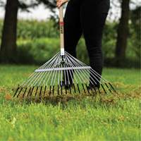 Lawn Rake, 24 Tines, Hardwood Handle, Steel Blade Equipment World