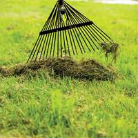Lawn Rake, 24 Tines, Hardwood Handle, Steel Blade Equipment World
