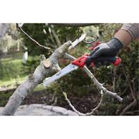 7” Folding Pruning Saw with ?Straight Blade Equipment World