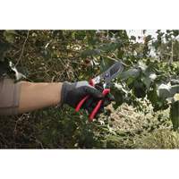 1” Angled Pruning Shears Equipment World