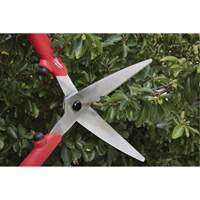Hedge Shears? with Hollow Handle Equipment World