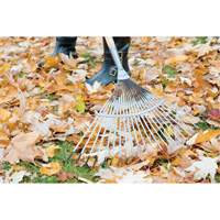 Pro Fan Rake, 24" Blade, 22 Tines, Hardwood Handle, Steel Blade Equipment World