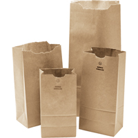 #3 Kraft Bag, Paper, 4-3/4" W x 8-1/2" L PG697 | Equipment World