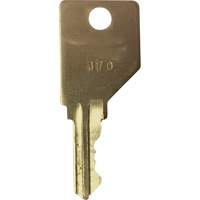 Replacement Key for Frost Smoking Receptacles NI750 | Equipment World