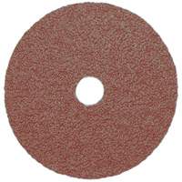 Resin Fibre Sanding Disc, Aluminum Oxide, A16, 5" Dia x 7/8" Arbor Equipment World
