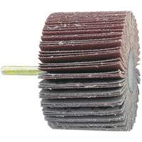 Disque &agrave; lamelles mont&eacute; sur mandrin, Grain 60, 1-1/2" x 1/4" Equipment World