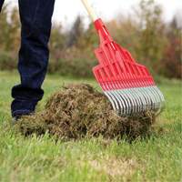 Multi-Purpose Lawn Rake, 20" Blade, 20 Tines, Hardwood Handle, Steel Blade Equipment World