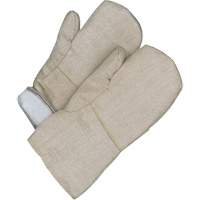 Gander Brand Mitt, Fibreglass, One Size, Protects Up To 608° F (320° C ) Equipment World