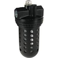 Wilkerson EconOmist&reg; Standard Lubricator L30, 3/4", Max. 150 PSI, Standard Equipment World